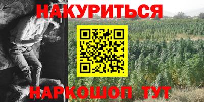 прущие грибы Кунгур