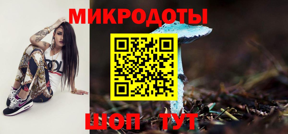 Галлюциногенные грибы Psilocybine cubensis Чебаркуль